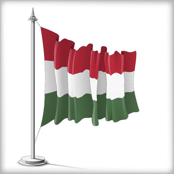 Czy transport ładunku na Węgry wymaga zgłoszenia do BIREG?