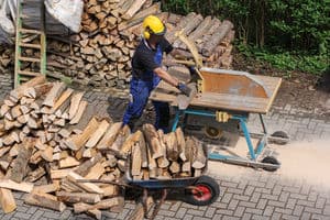 Czy przewóz drewna do Niemiec podlega kabotażowi? 