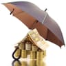 kasa parasol