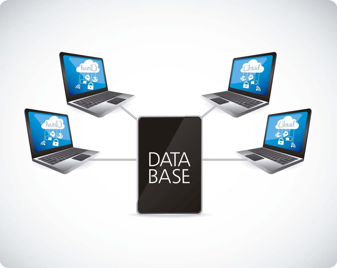 58ea6a4064330c376f5c6403fe6ba995a74fb37d-large (1)